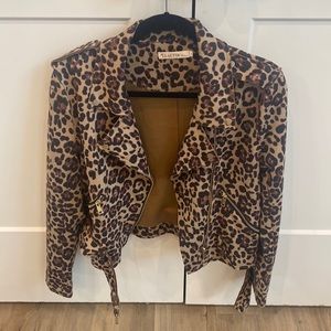 Cheetah / Leopard Jacket